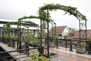 Inspirasi : Taman Vertikal