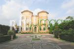 rumah gaya eropa