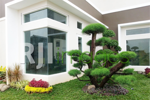 Model Molding dan Dinding S-Plus Model Molding dan Dinding S-Plus